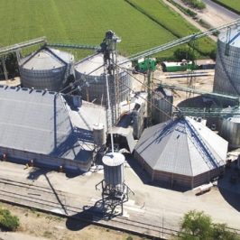 Guía para la construcción de sistemas de almacenamiento agrícola | Meprosa